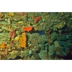 Devils Drop Off : Jack